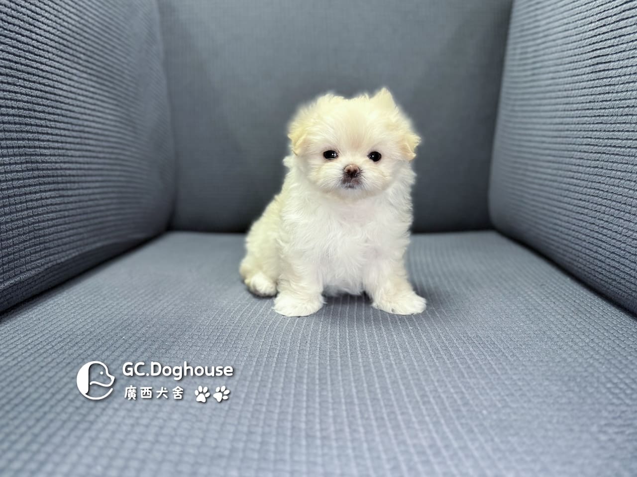 瑪爾濟斯-妹妹 (3457)